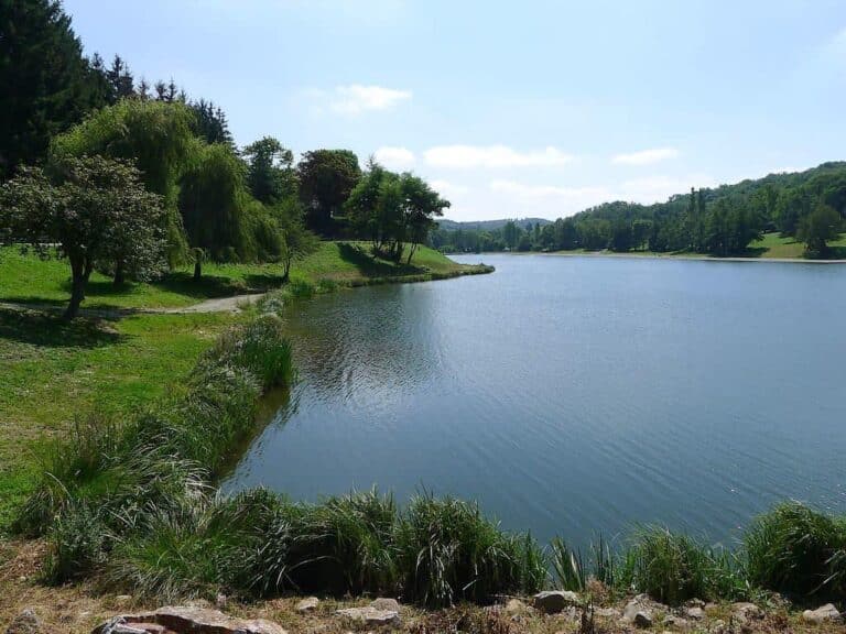 Venez passer un bon moment au bord du lac de Roybon. Pour toute réservation à la Brasserie du lac : 04 76 36 62 67